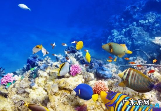 世界十大奇观 震撼世界的自然奇观