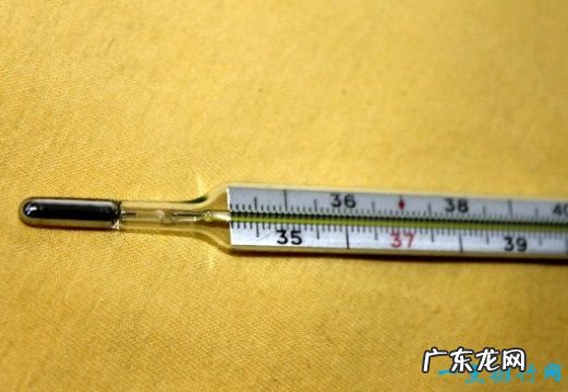 全球10大致命毒物一滴“VX”就足以要命!