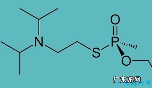 全球10大致命毒物一滴“VX”就足以要命!