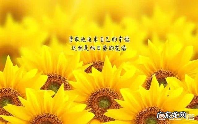 有哪些比较犀利现实的句子?