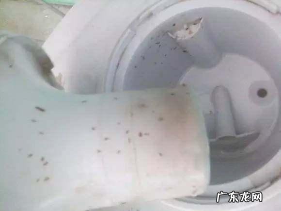 如何清洁饮水机才最干净?