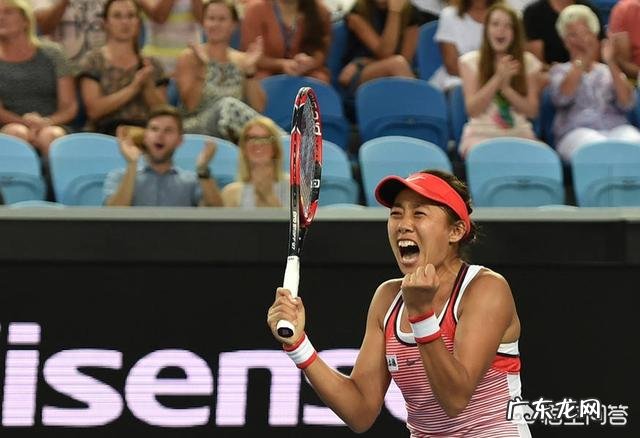 张帅澳网女双夺冠，成为中国第六位夺得大满贯的球员，对此事你怎么看？