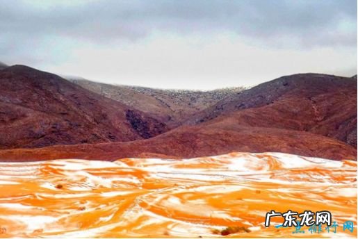 世界最热的沙漠 撒哈拉沙漠下雪了