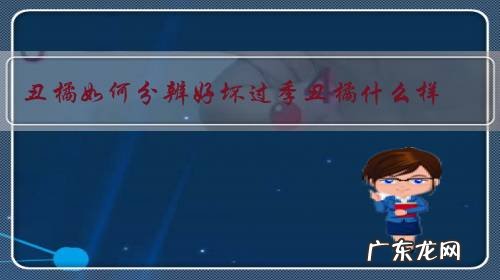 丑橘如何分辨好坏过季丑橘什么样?