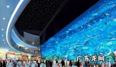 世界最大的水族馆排行前十名上海海洋水族馆排倒三