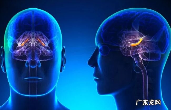 微笑的十大好处 原来多笑笑有这么多好处！