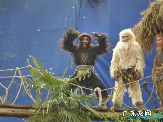 四大灵猴排名 灵明石猴孙悟空是最厉害的吗