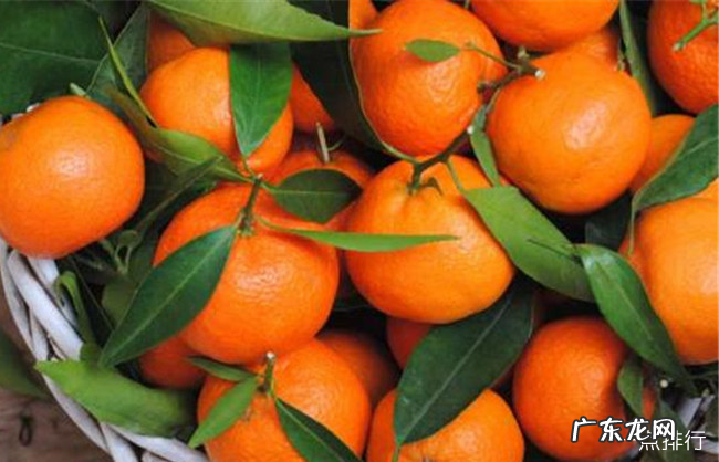 越吃越瘦的10种水果 想减肥吃什么水果最好