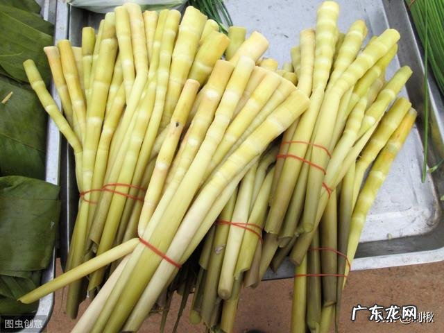 水竹笋是什么样的?多少钱一斤?