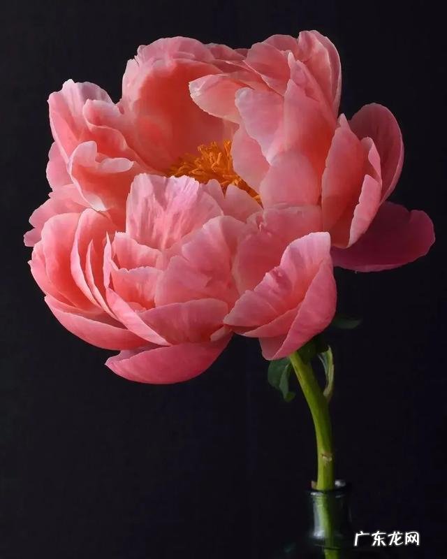 你的今日头条网名是怎么起的