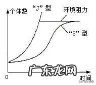 产品经理可能用到的专业术语有哪些