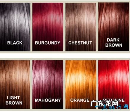 纯植物染发剂排行榜最有效且无毒副作用