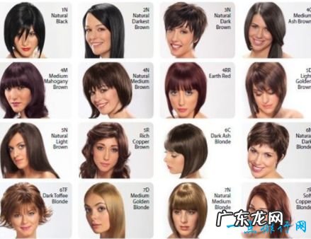 纯植物染发剂排行榜最有效且无毒副作用