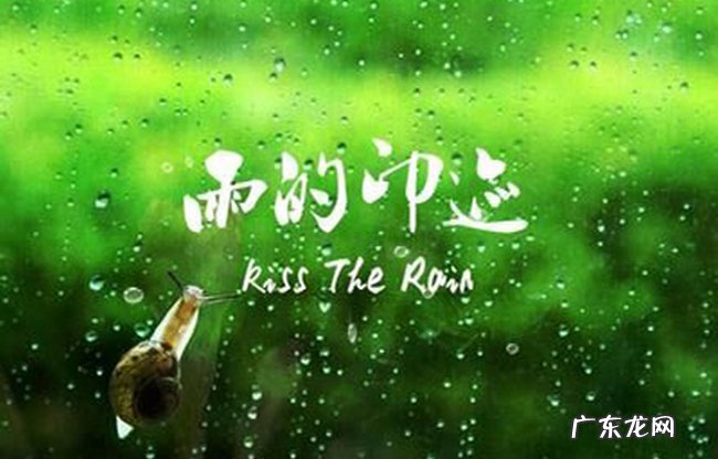 纯音乐排行榜前十名 听了前奏就欲罢不能