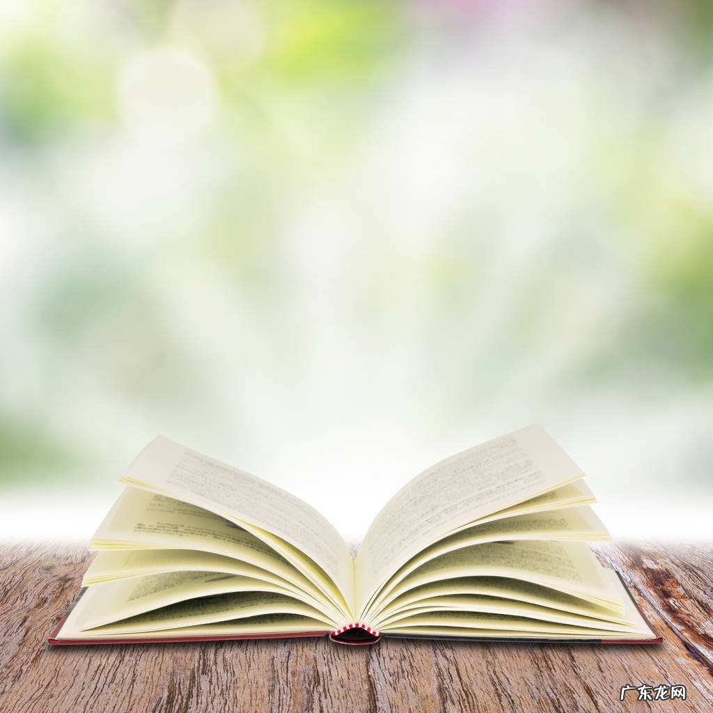 惠崇春江晓景的诗意思