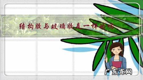 结构胶与玻璃胶是一样的吗?两者的主要区别是什么?