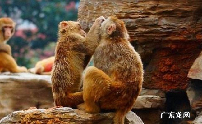 郑州有什么好玩的地方 郑州好玩的地方推荐