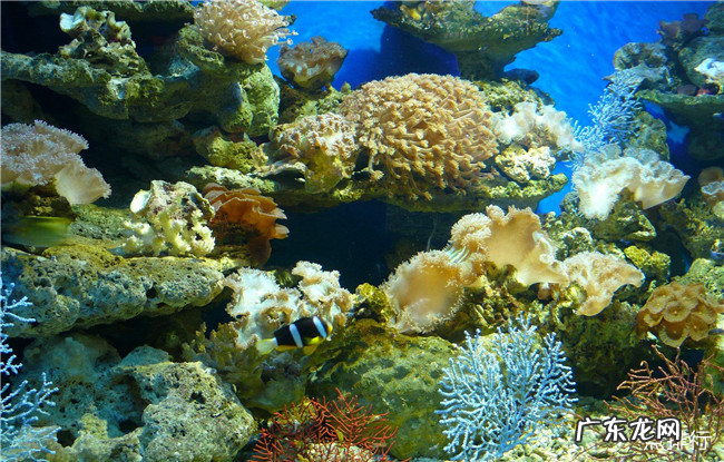 北海十大旅游景点大全 北海一日游必去景点推荐