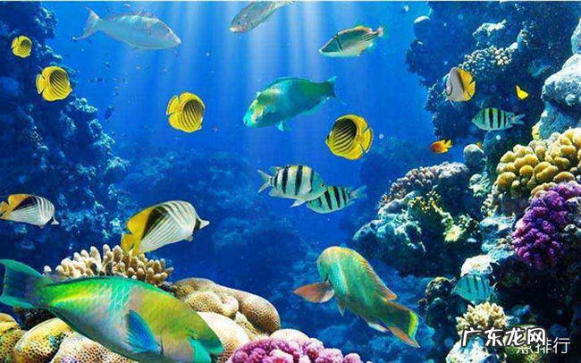 北海十大旅游景点大全 北海一日游必去景点推荐