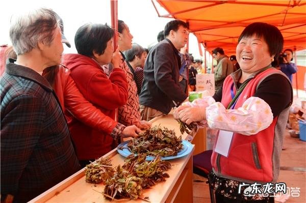 吃香椿有什么禁忌吗？