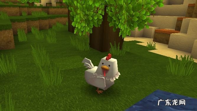 迷你世界什么东西能吸引鸡