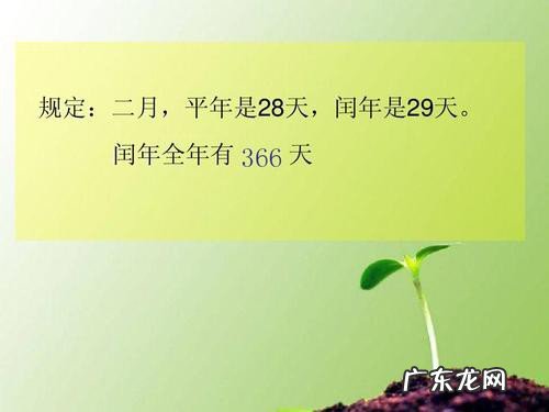 四年一次的生日是几号