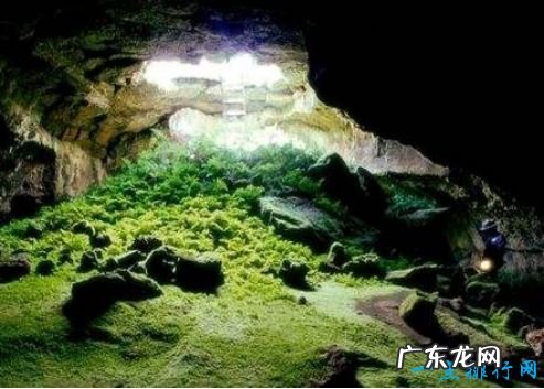 世界十大危险的地方 巴西库巴唐——无脑婴儿产地