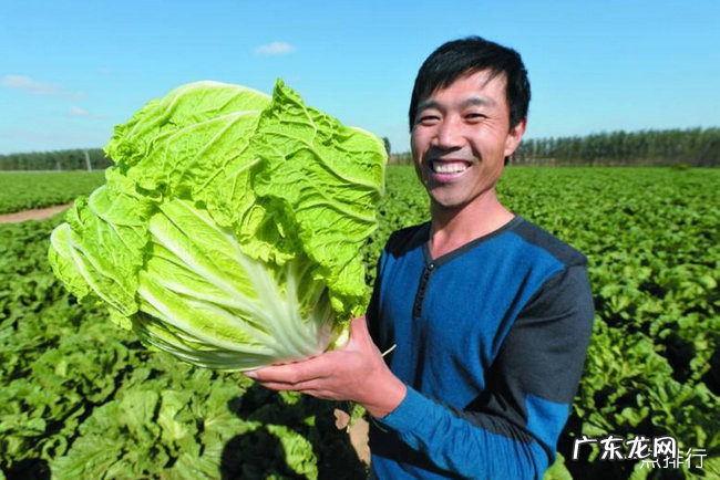 山东十大特产 山东特产有哪些