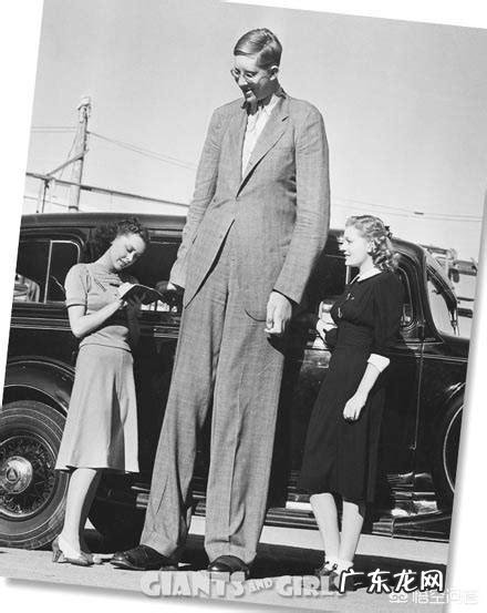 现代人的身高在1.5至2米之间,如果人的身高在2.5米至3米之间,人类会怎样?