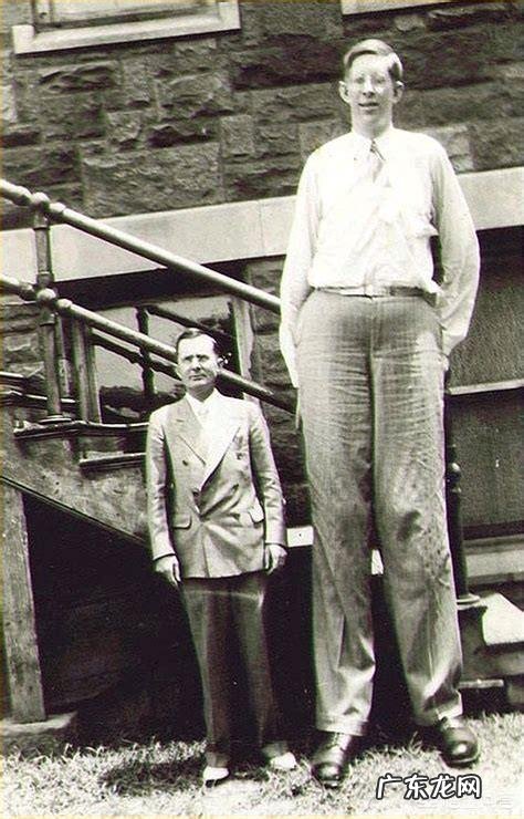 现代人的身高在1.5至2米之间,如果人的身高在2.5米至3米之间,人类会怎样?