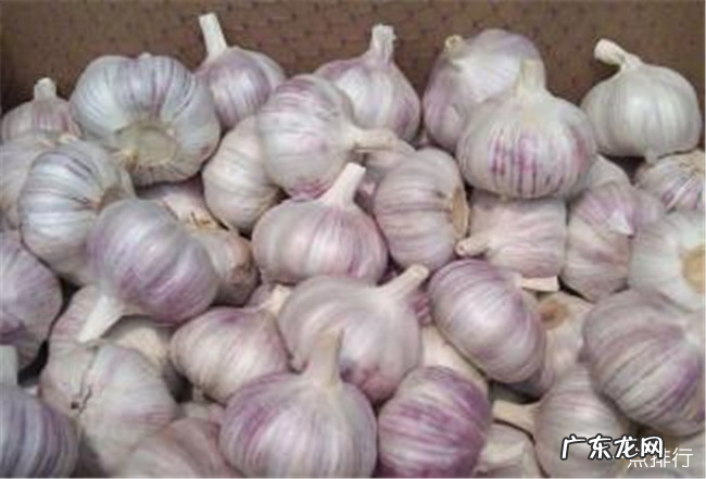 血脂高吃什么食物好 降脂最快的十种食物