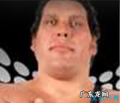 世界上最强壮的10个男人 简直是男人中的“战斗机”