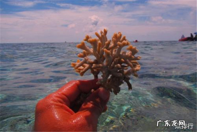 三亚十大特产 三亚特产有哪些