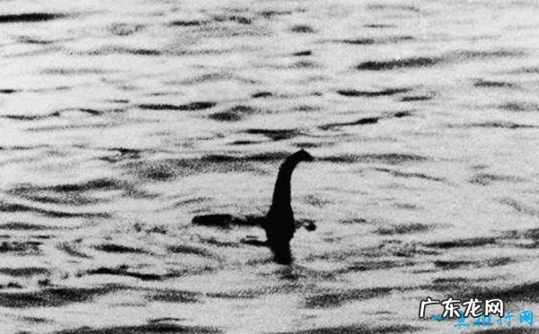 世界十大水怪 震惊世界的水怪之谜