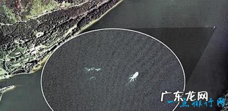 世界十大水怪 震惊世界的水怪之谜