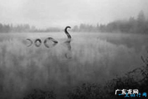 世界十大水怪 震惊世界的水怪之谜