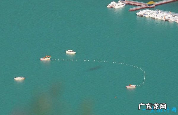 世界十大水怪 震惊世界的水怪之谜