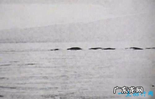 世界十大水怪 震惊世界的水怪之谜