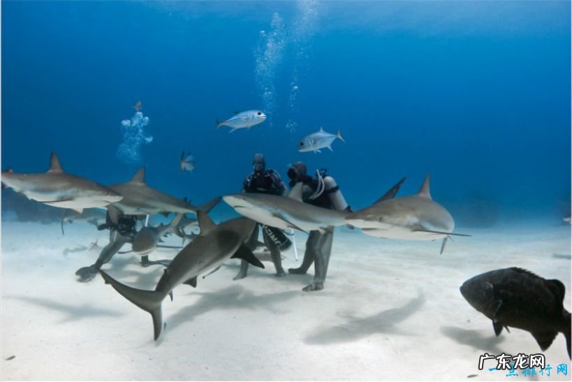 世界十大最佳冒险旅游目的地 充满刺激的旅程!