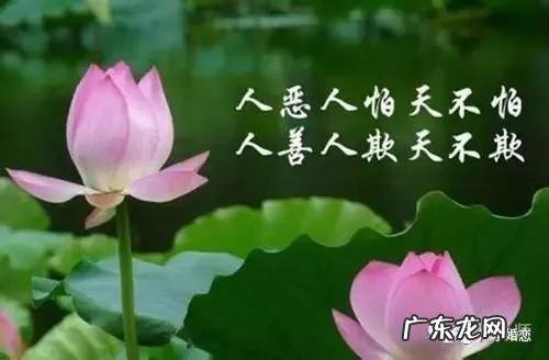 你有遇到过最没良心的人吗