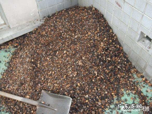 种植兰花用什么土最好?