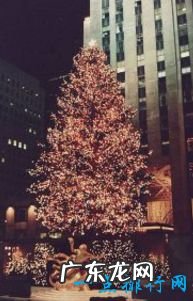 世界上最高的树排行前十名 亥伯龙神排第一