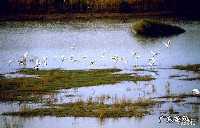 常德十大旅游景点大全 常德有哪些好玩的地方