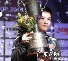 2018年度乒乓球男子赛事,马龙、许昕各夺两冠,樊振东夺六冠,樊振东的时代到来了吗?