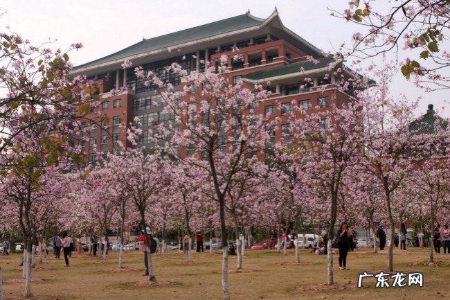 2018年华南农业大学世界排名、中国排名、专业排名