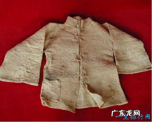 世界最毒的树木 箭毒木见血封喉堪称死亡之树