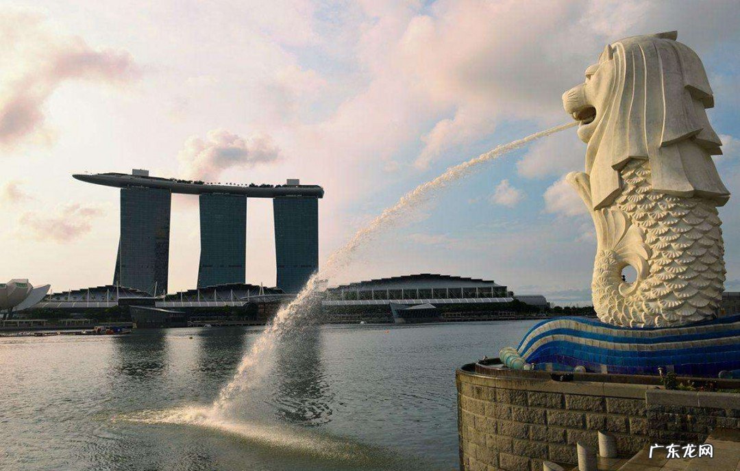 新加坡人口2019年总人数