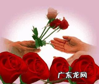 忘掉一个人最好的方式是什么？