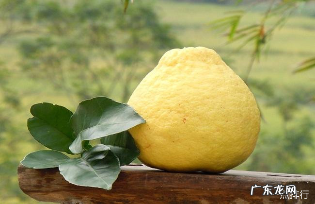 遂宁十大特产 遂宁特产是什么