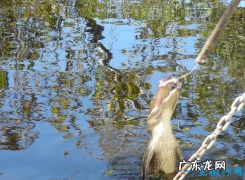 全球十大惊悚地点 费城马特博物馆尸横遍野
